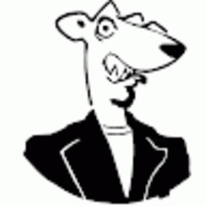 Meet your Posher, Bryan